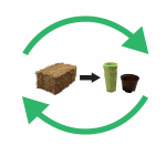 Schematisch plaatje biobased productie